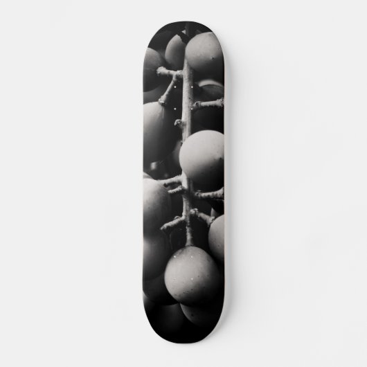Skateboard graphes (Recto)