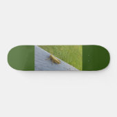 Skateboard Grasshopper (Horz)