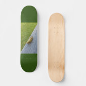 Skateboard Grasshopper (Recto)