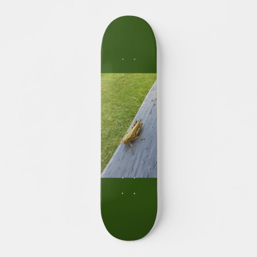 Skateboard Grasshopper (Devant)