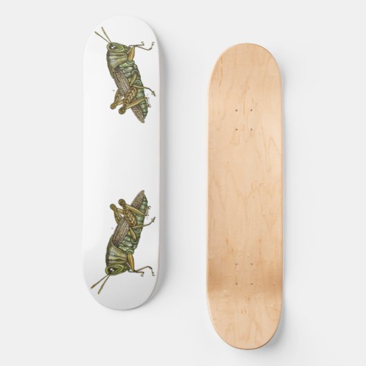 Skateboard Grasshopper vert (Recto)