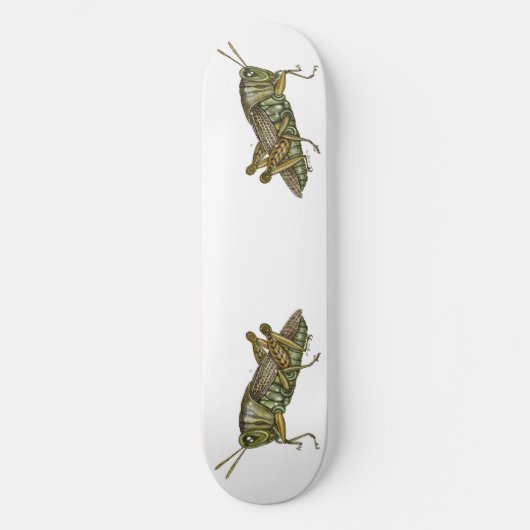 Skateboard Grasshopper vert (Recto)