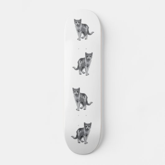 Skateboard Gris chaton (Recto)