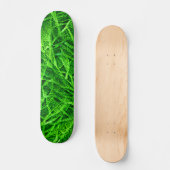 Skateboard Herbe Mossy (Recto)