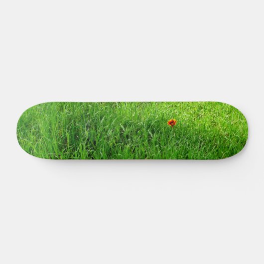 Skateboard Herbe verte (Horz)