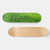 Skateboard Herbe verte (Horz)