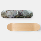 Skateboard Hérissons comme animaux familiers (Horz)