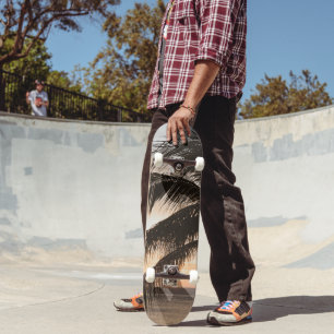 Skateboard Heure d'or Tranquillité 1 #art #voyage