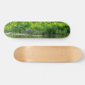 Skateboard Heure du repas de la langouste (Horz)