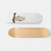 Skateboard Hibou (Horz)