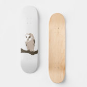 Skateboard Hibou (Recto)