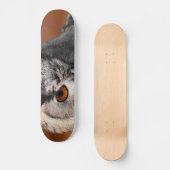 Skateboard Hibou Stare (Recto)