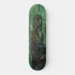 Skateboard Hippo Nage Sous L'Eau,