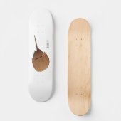 Skateboard Horseshoe crab (Recto)