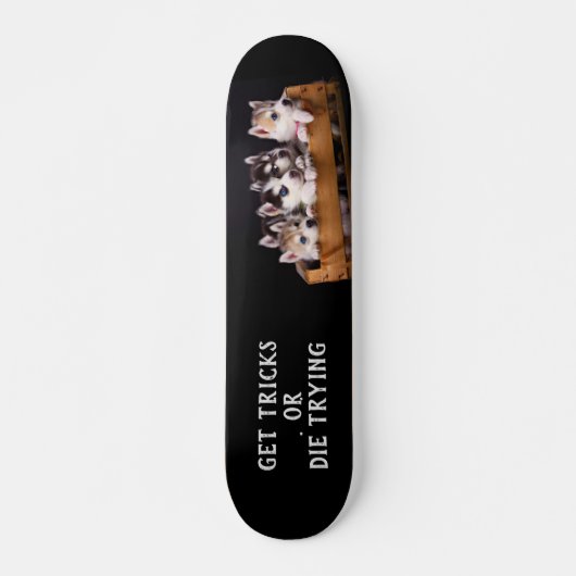 Skateboard Huski Pups dans une caisse Obtenir des trucs ou mo (Devant)