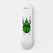 Skateboard Illustration de bug Mecynorhina torquata (Devant)