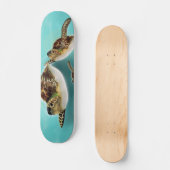 Skateboard Illustration des tortues marines (Recto)