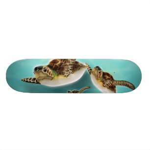 Skateboard Illustration des tortues marines