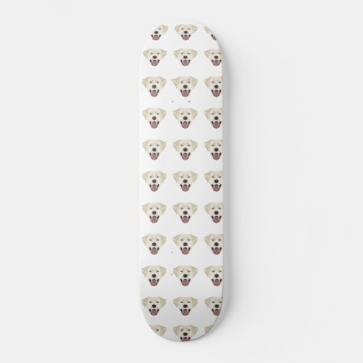 Skateboard Illustration golden labrador retriever with smile (Recto)