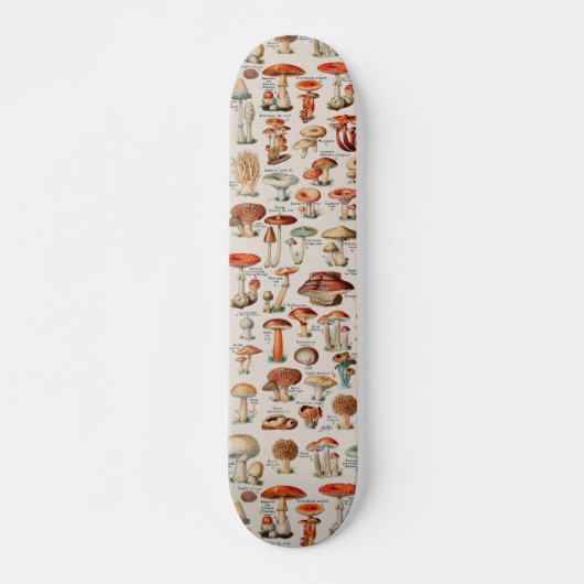 Skateboard Illustration I du champignon vintage (Devant)