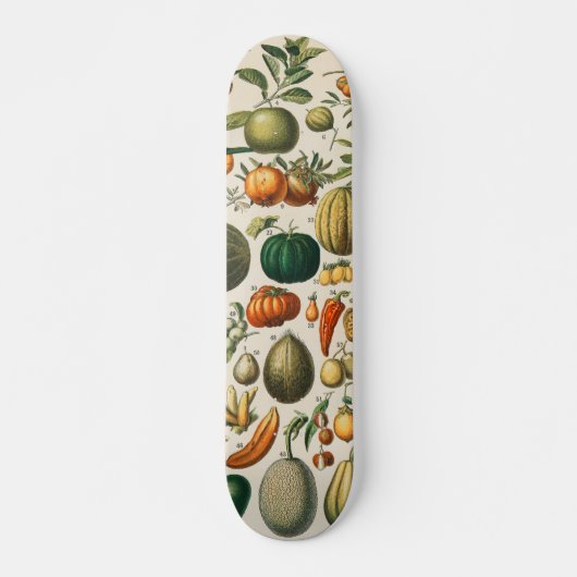Skateboard Illustration scientifique végétale des fruits (Devant)