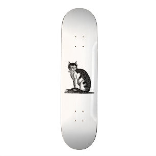 Skateboard Illustration vintage de chat de Chambre de 1800s -