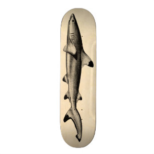 Skateboard Illustration vintage de requin de récif - noir