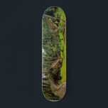 Skateboard Imaginaire T-Rex Tyrannosaurus bataille Dragon<br><div class="desc">Cette conception peut être personnalisée en choisissant l'option personnaliser pour ajouter du texte ou apporter d'autres modifications. Si ce produit a la possibilité de transférer la conception à un autre article, s'il vous plaît assurez-vous d'ajuster la conception pour s'adapter si nécessaire. Contactez-moi à colorflowcreations@gmail.com si vous souhaitez avoir cette conception...</div>