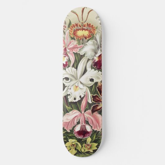 Skateboard Impression botanique vintage d'orchidée par Ernst (Recto)