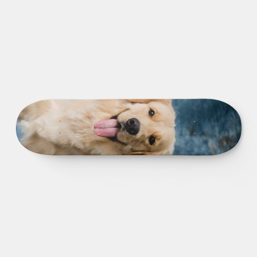 Skateboard Inteligente perro Labrador  (Horz)