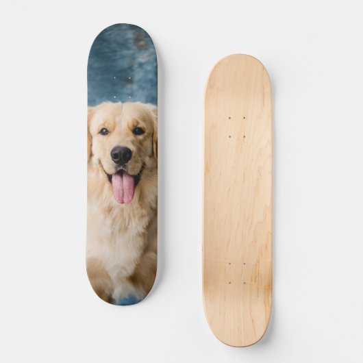 Skateboard Inteligente perro Labrador  (Recto)
