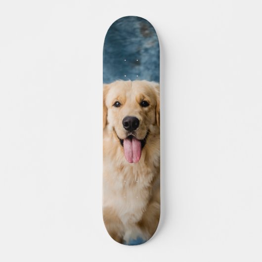 Skateboard Inteligente perro Labrador  (Devant)