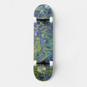 Skateboard Irises, Floral Oil Painting, Vincent Van Gogh (Recto)