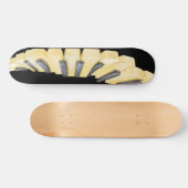 Skateboard Ivoire de piano (Horz)
