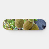 Skateboard Jackfruit (Horz)