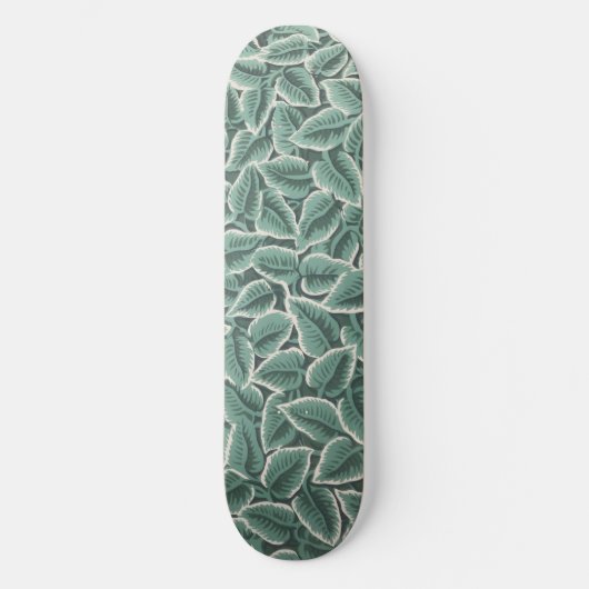 Skateboard Jane Austen's Home Wallpaper (Recto)