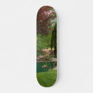 Skateboard Jardin paisible