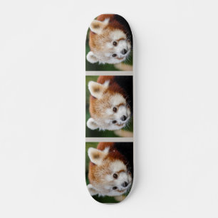 Skateboard Joli Animal Panda roux