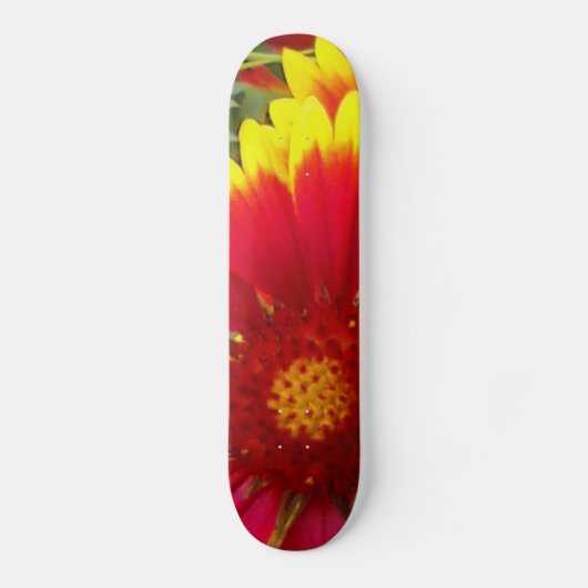 Skateboard Jolie Fleur (Recto)