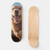 Skateboard Joyeux Golden Retriever en cours (Recto)