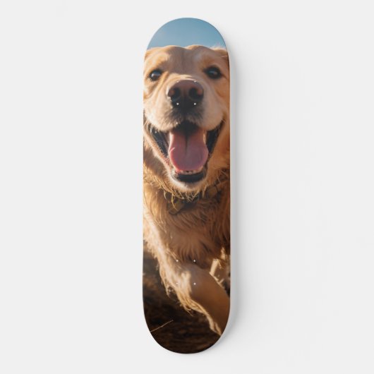 Skateboard Joyeux Golden Retriever en cours (Recto)