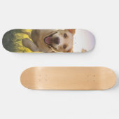 Skateboard Joyeux Labrador Puppy Running (Horz)