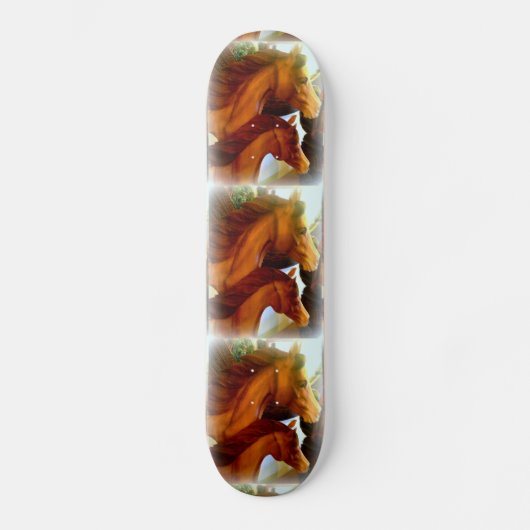 Skateboard juments et poneys (Recto)