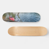 Skateboard Kayak Flottant Sur Le Lac Table Rock (Horz)