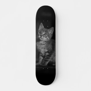 Skateboard Kitten précieux