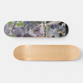 Skateboard Koala Bear" Faisons ceci"_Skateboard (Horz)
