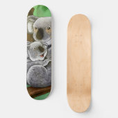 Skateboard Koala et bébé mignons (Recto)