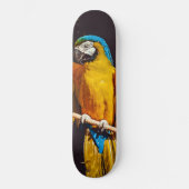 Skateboard La faune des oiseaux jaunes Joli Macaw (Recto)