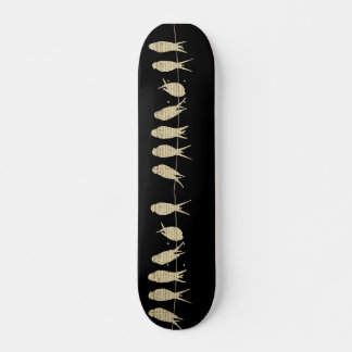 Skateboard La musique de nature animale d'oiseaux note le des
