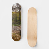 Skateboard La Nature (Recto)